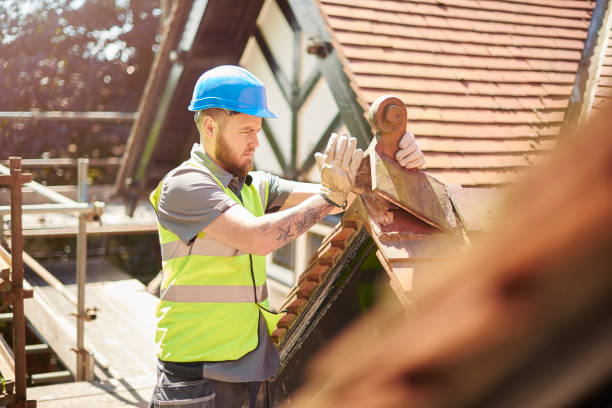Professional Roofing Contractor in Town N Country, FL